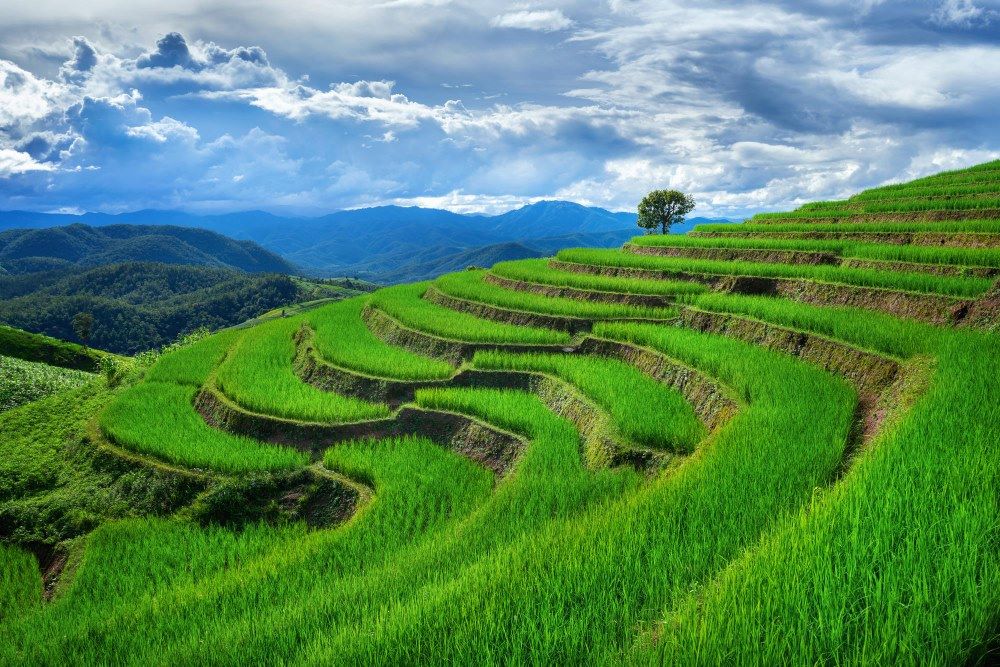 The Worst Time to Visit Thailand travel magazine