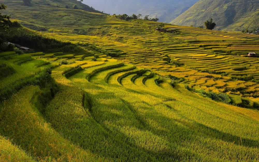 Gianyar : Explore Culture, Nature, and Culinary Delights in Gianyar, Bali travel magazine - Indonesia