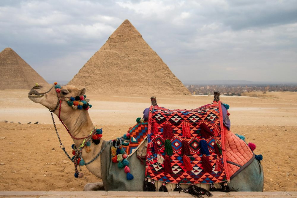 Top luxury hotels in Cairo travel magazine - Egypt